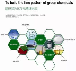 山東聯(lián)創(chuàng)新材料集團